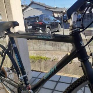 GIANT  CADEX      カーボン