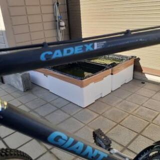 GIANT  CADEX      カーボン
