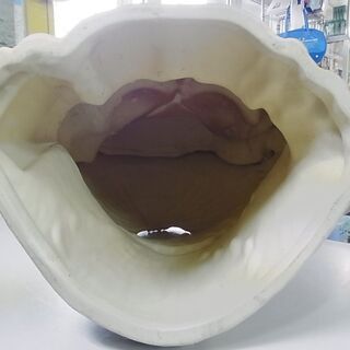 信楽焼　陶器　狸の置物　八相縁起　縁起物　商売繁盛　たぬき