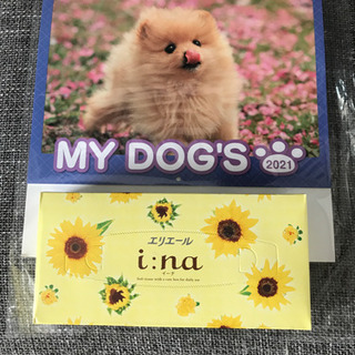 新品　2021 犬のカレンダー