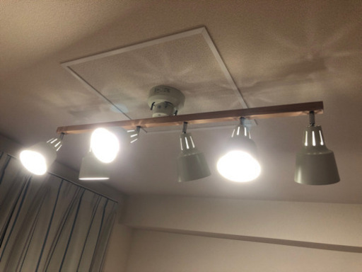 天井照明 LED電球付き
