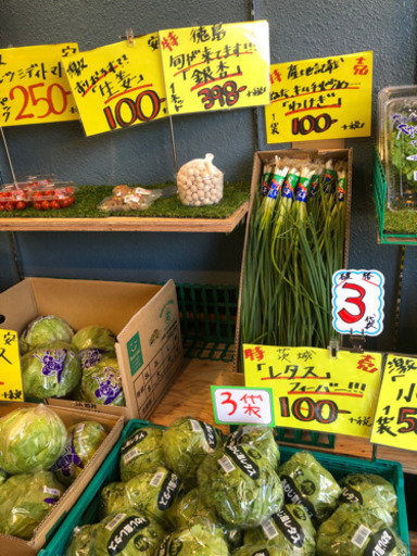 八百屋のレジと簡単な品出しなど募集中 同時に野菜の配達員も募集 まさと 今里のスーパーの無料求人広告 アルバイト バイト募集情報 ジモティー