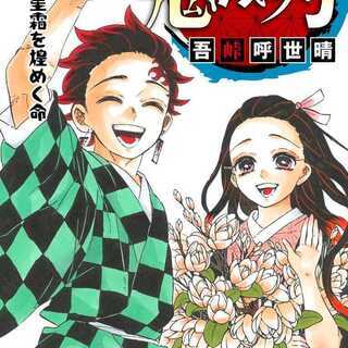 鬼滅の刃 23巻特装版