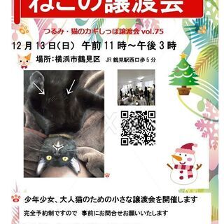 第75回つるみ・猫のカギしっぽ予約制譲渡会