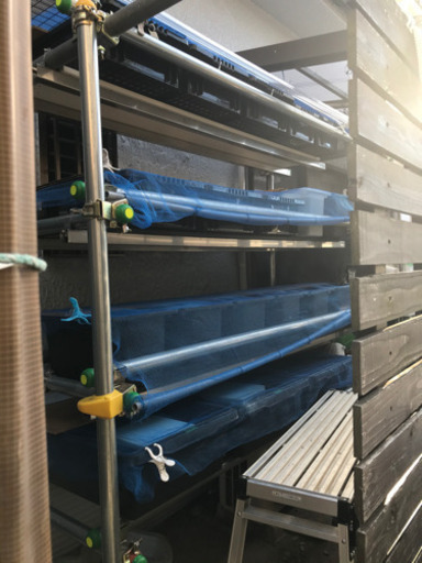 メダカ飼育棚用単管足馬来春お渡し ヨーダ 岡田浦のその他の中古あげます 譲ります ジモティーで不用品の処分 メダカ飼育棚用単管足馬来春お渡し ヨーダ 岡田浦のその他の中古あげます 譲ります ジモティーで不用品の処分