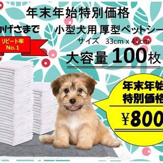 小型犬用ペットシーツ100枚入り　年末年始特別価格！　