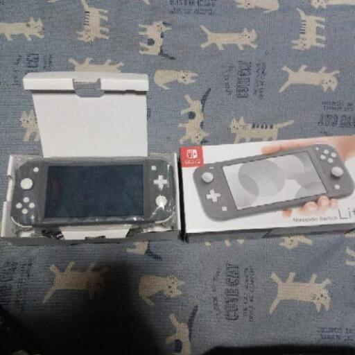 その他 Nintendo SwitchLite