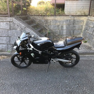 NS-1 カスタム車両