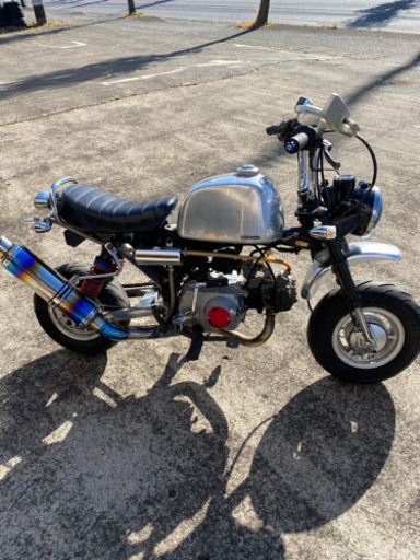 ゴリラ　6v
