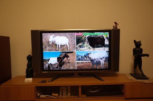 無傷で鮮明に映ります。シャープ３７型液晶テレビ