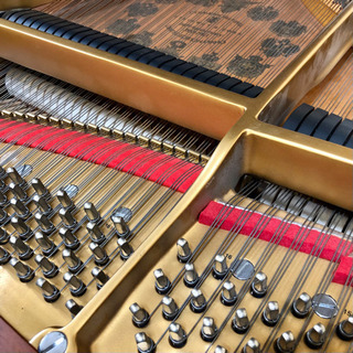 楽器店サロンに展示中♬ Steinway & sons / 創業140年記念Mモデル