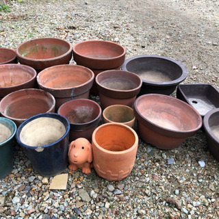 陶器の植木鉢　差し上げます