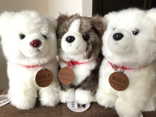あきたいぬぬいぐるみ さくら 横浜のその他の中古あげます 譲ります ジモティーで不用品の処分