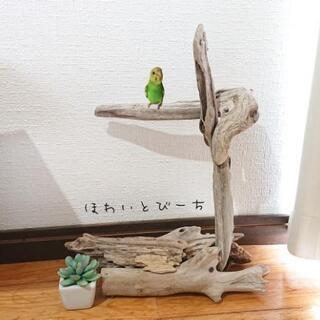 インコ 斜めロープ付 止まり木 小屋 ジム バードアスレチック