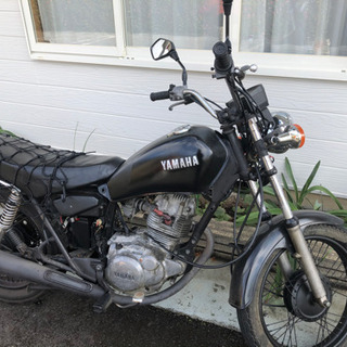 交換希望。YAMAHA SR125出品します。 | www.ega.org.eg