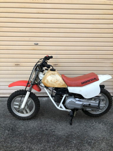 i b様お買い上げ決定)HONDA QR50 引取り限定 | pcmlawoffices.com