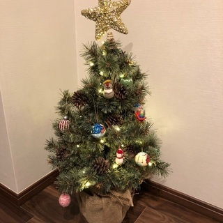 （無料）クリスマスツリー　70cm Christmas tree