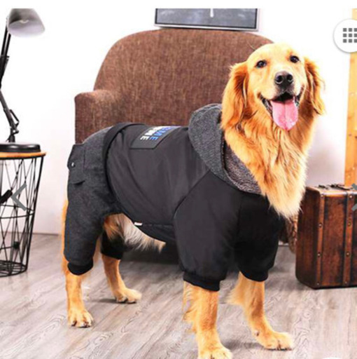 中型犬 大型犬つなぎ冬服 E 和泉砂川のその他の中古あげます 譲ります ジモティーで不用品の処分 中型犬 大型犬つなぎ冬服 E 和泉砂川のその他の中古あげます 譲ります ジモティーで不用品の処分