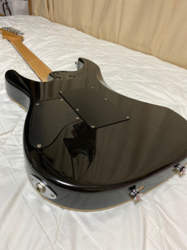 Schecter NV エレキギター Gig Bag SZ-G