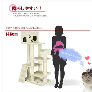 豪華　キャットタワー　シニア・子猫・多頭飼い対応
