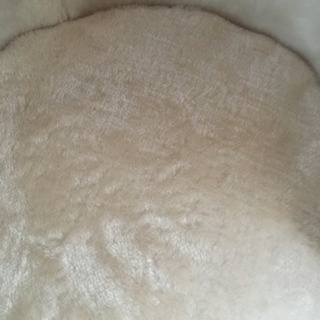 豪華　キャットタワー　シニア・子猫・多頭飼い対応