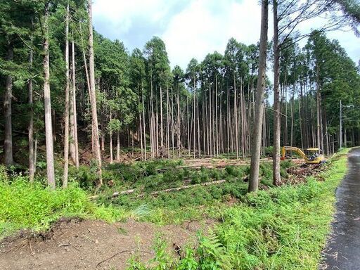 山林 売土地 プライベートキャンプ場 京都山奥 約200 250坪 スター 京都の土地販売 土地売買の不動産 住宅情報 無料掲載の掲示板 ジモティー