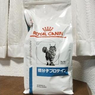 ロイヤルカナン未開封　低分子プロテイン　キャットフード　2kg