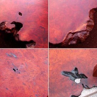 希少 花梨 座卓 193cm×105cm 厚さ4.5cm 天然木 無垢 一枚板 唐木 銘木 玉杢 葡萄杢 鳥目杢 ☆ 札幌市 清田区 平岡