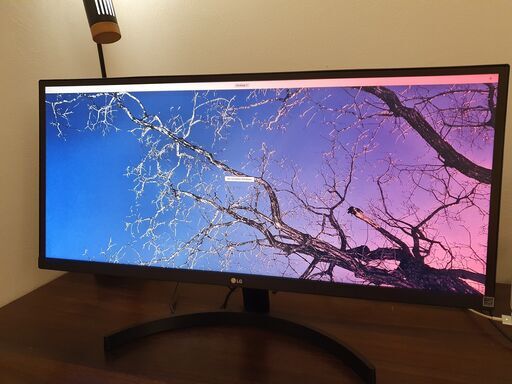 LG ウルトラワイドモニター 29インチ ジャンク