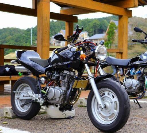 エイプ 100cc 50登録