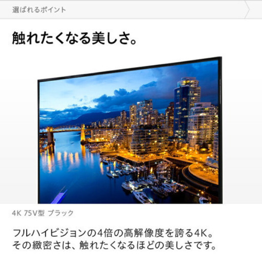 4K 75型 2019年製 LEDテレビ 超美品 3ヶ月使用 サンライズ 【公式通販】
