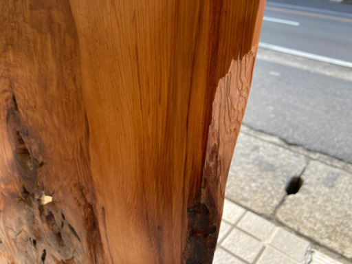 屋久杉 衝立(ついたて) お譲り致します。玄関に最適。