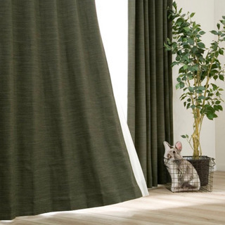 遮光カーテン　ニトリ　モスグリーン系カラー　160×140