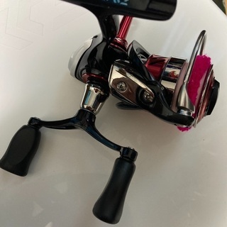 月下美人　セット