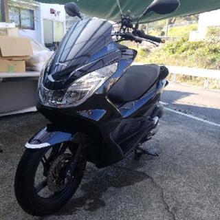 まだまだ人気車種！　PCX125 元気に走ります！