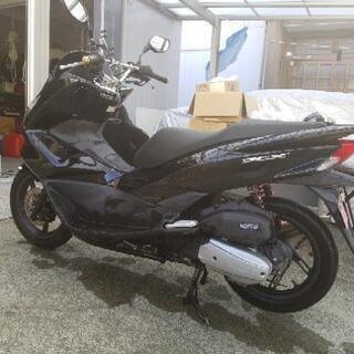 まだまだ人気車種！　PCX125 元気に走ります！ まだまだ人気車種！ PCX125 元気に走ります！