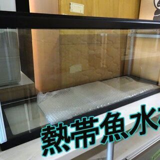 【熱帯魚水槽】飼育 鑑賞魚 ペット アクアリウム