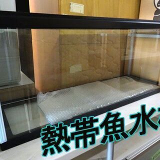 【熱帯魚水槽】飼育 鑑賞魚 ペット アクアリウム ガラス水槽 水草