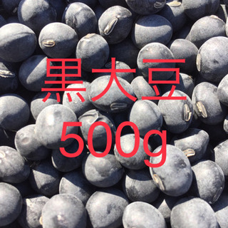 今秋収穫 黒大豆(500g)