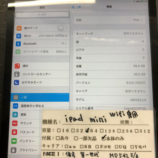 iPad mini WiFi  64G