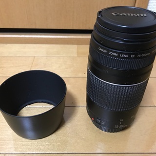 Canon EF 75-300mm 4-5.6