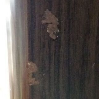 【店舗同時販売中】　ＮＩＴＯＲＩ　ニトリ　ポスティア１００ＫＢ　2枚スライド扉キッチンボード　ダークブラウン　【店頭ご来店購入限定】