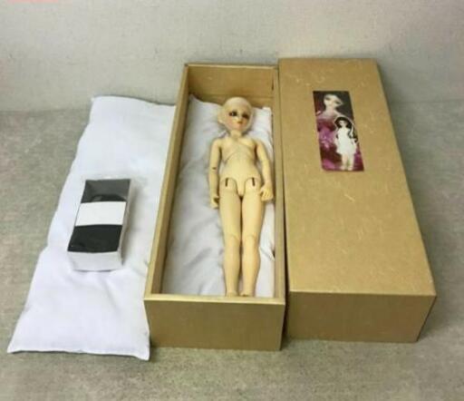 スーパードルフィー  より