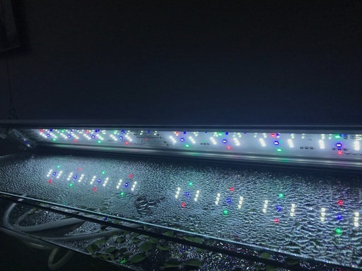 GEX Clear LED Ⅳ　600