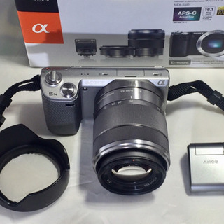 ミラーレス一眼 SONY NEX-5N※ボディのみ交渉中 institutoloscher.net