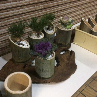 竹製鉢　盆栽　観葉植物　オブジェ　DIY