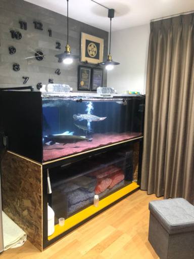 大型オーバーフロー 水槽セット 大型オーバーフロー 水槽セット