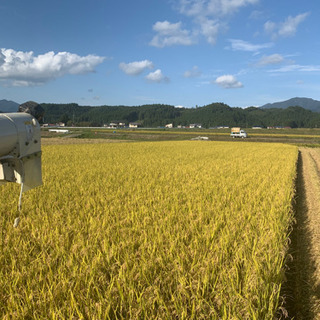 餅米プレゼント企画！ひとり親限定！しんふぁ支援協会より！シングル...