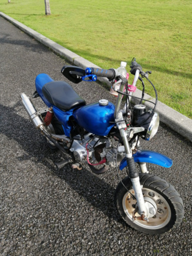 モンキー
