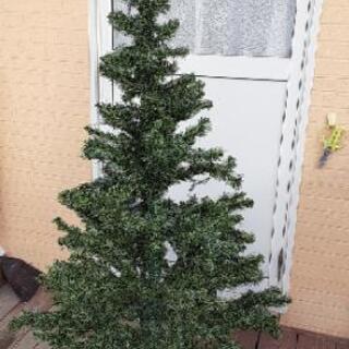 クリスマスツリー　高さ１５０cm